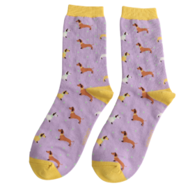 Miss Sparrow Sausage Dog And Spots Lilac Socks