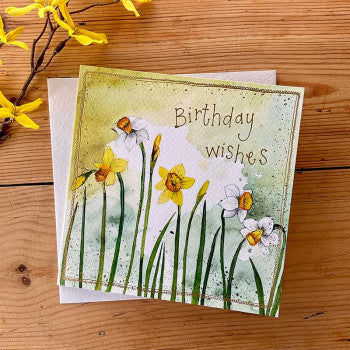 Alex Clark Card Narcissi Birthday Card