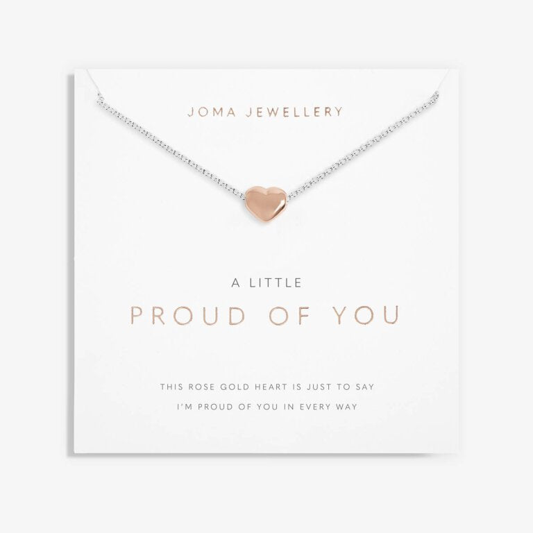 Joma Jewellery A Little Proud Of You Silver And Rose Gold Necklace