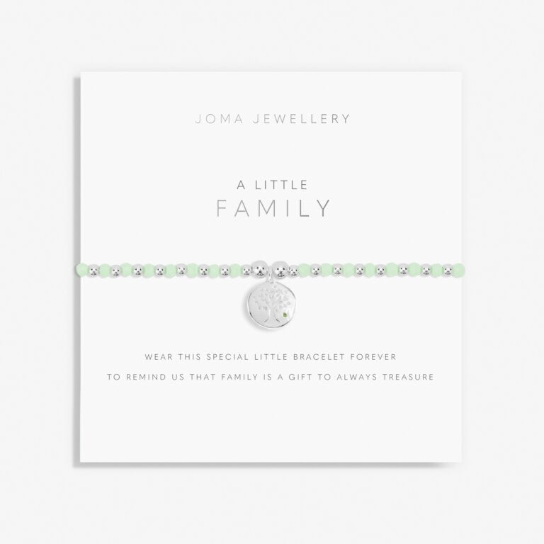 Joma Jewellery Colour Pop A Little Family Silver Bracelet