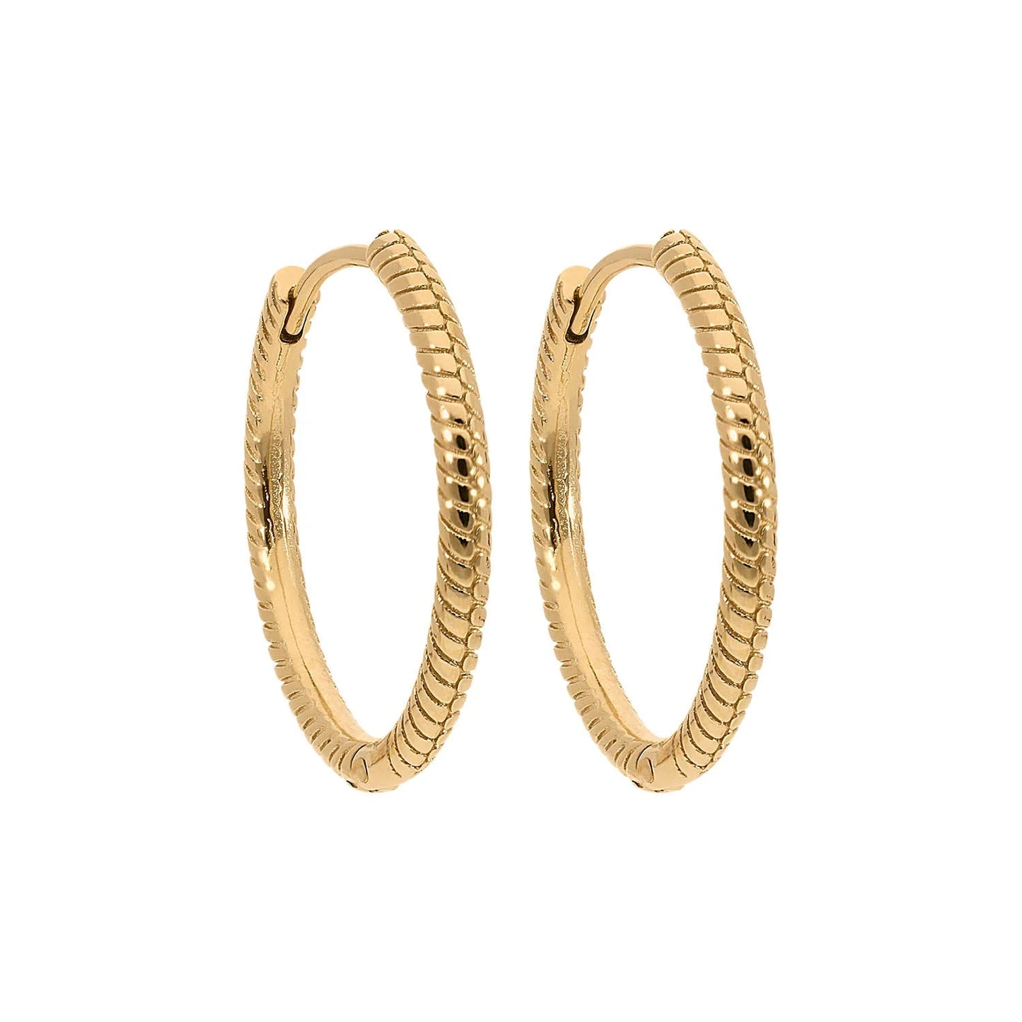 Hoop Perosa Earring 22mm