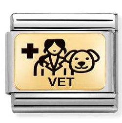 030166/18 Classic PLATES (IC) steel & yellow gold Vet