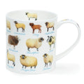 Dunoon Orkney On The Farm Sheep Mug