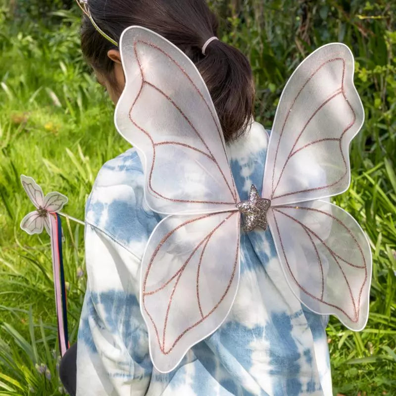 Fairy Wings Fairies In The Garden