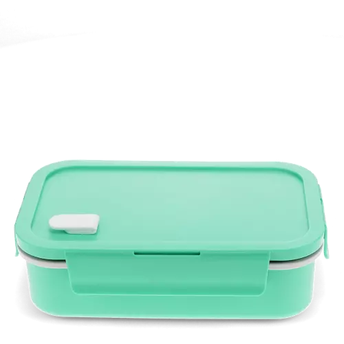 Double Wall Lunch Box With Divider Aqua