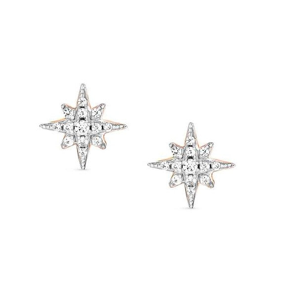 SWEETROCK  ROMANCE earrings,925 silver,CZ,Rose Gold Plate Wind Rose