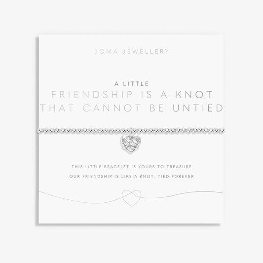 A Little Friendship Is A Knot That Cannot Be Untied Silver Plated Bracelet