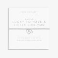 A Little Lucky To Have A Sister Like You Silver Plated Bracelet