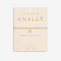 Joma Jewellery Anklet Rose Quartz Crystal Gold Plated Anklet