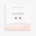 Birthstone Earrings October Tourmaline Silver Plated Earrings