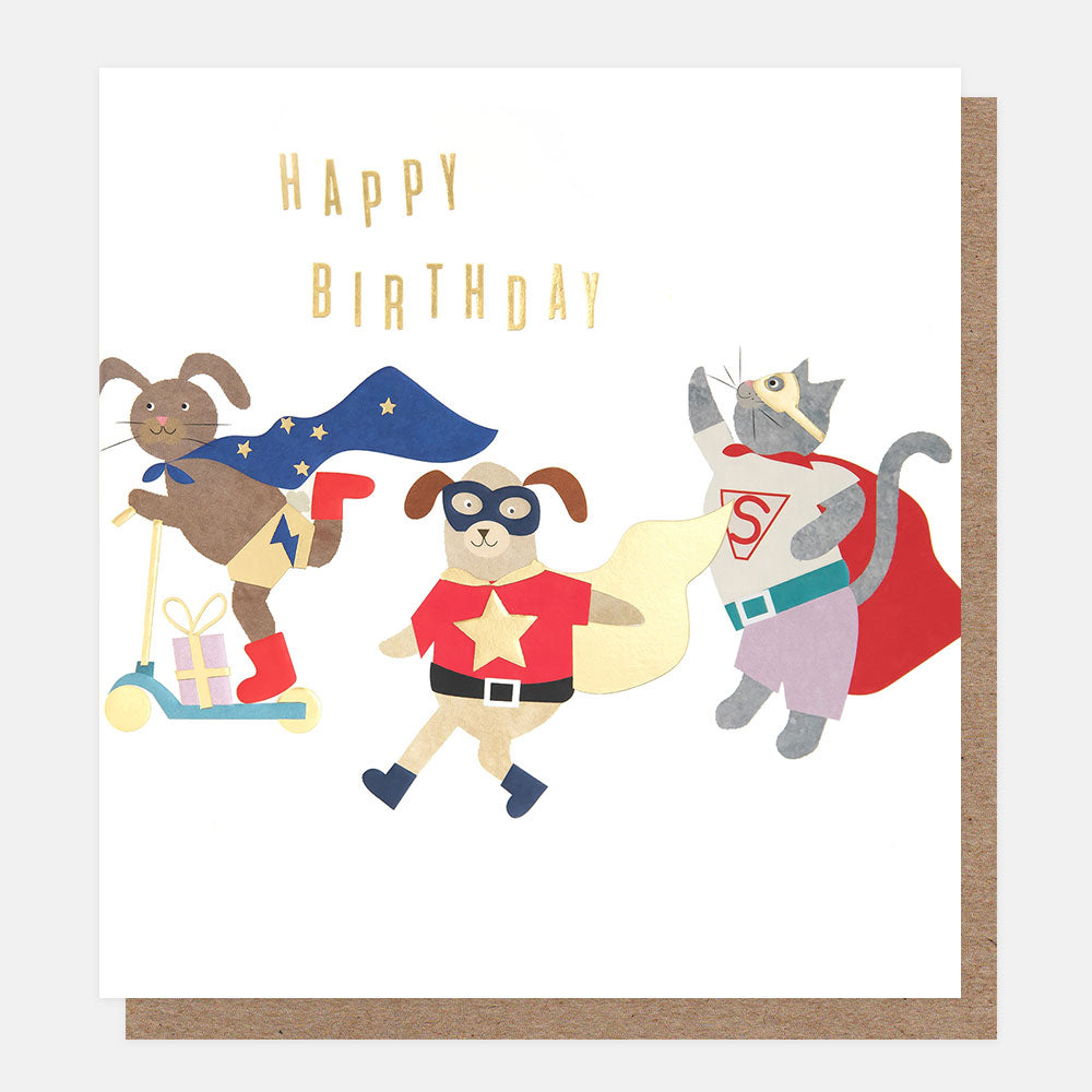 Caroline Gardner Happy Birthday Animals In Superhero Dress-Up Greeting Card