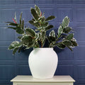 Ceramic 08 Vase Off White