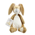 Rainbow Design Guess How Much I love You Large Nutbrown Hare