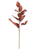 Dried Touch Autumn Branch Burnt Red