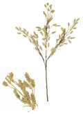 Dried Touch Grain Sorghum Spray Natural