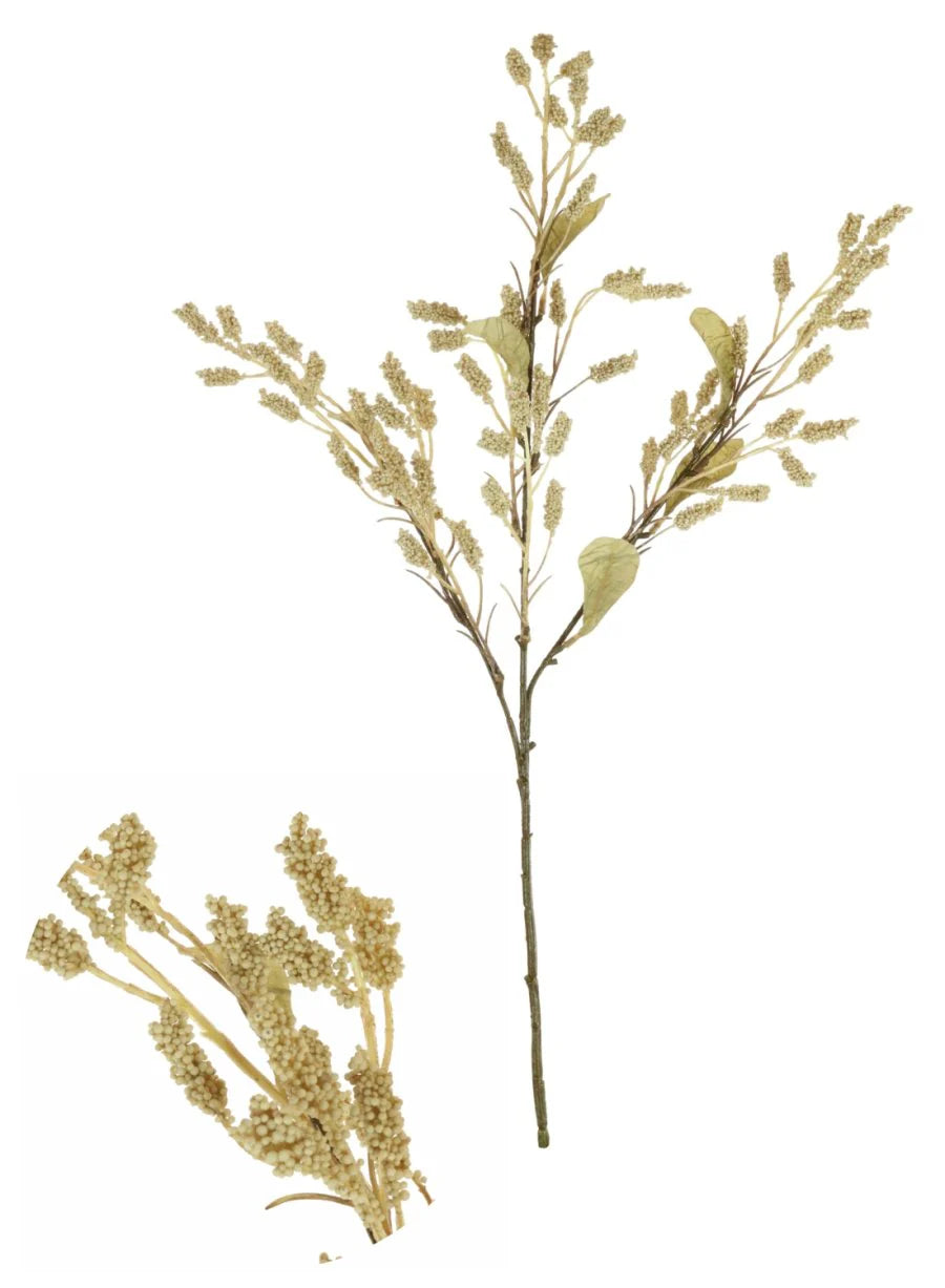 Dried Touch Grain Sorghum Spray Natural
