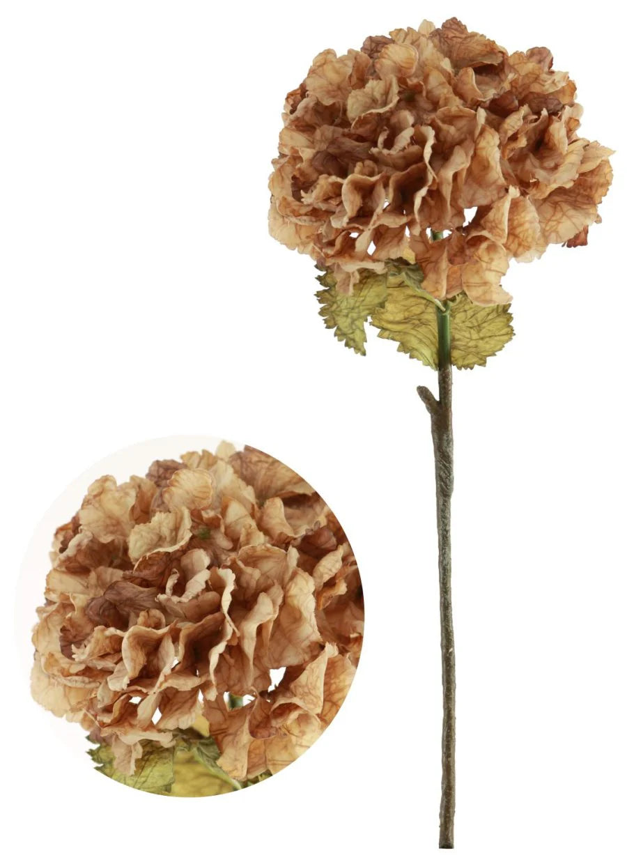 Dried Touch Ruffled Hydrangea Cappucino