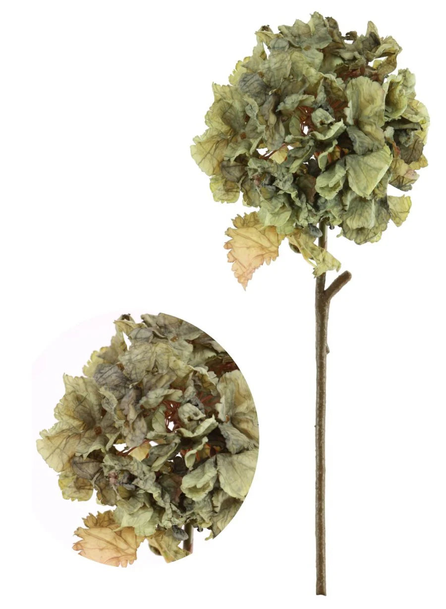 Dried Touch Ruffled Hydrangea Green