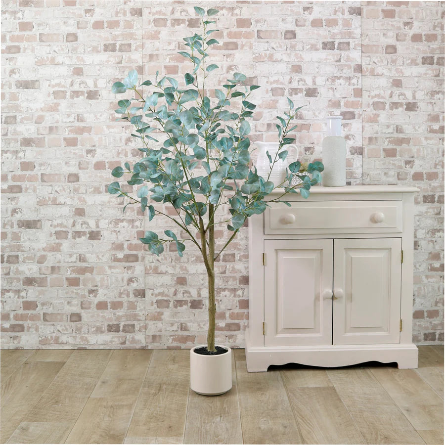 Eucalyptus Tree