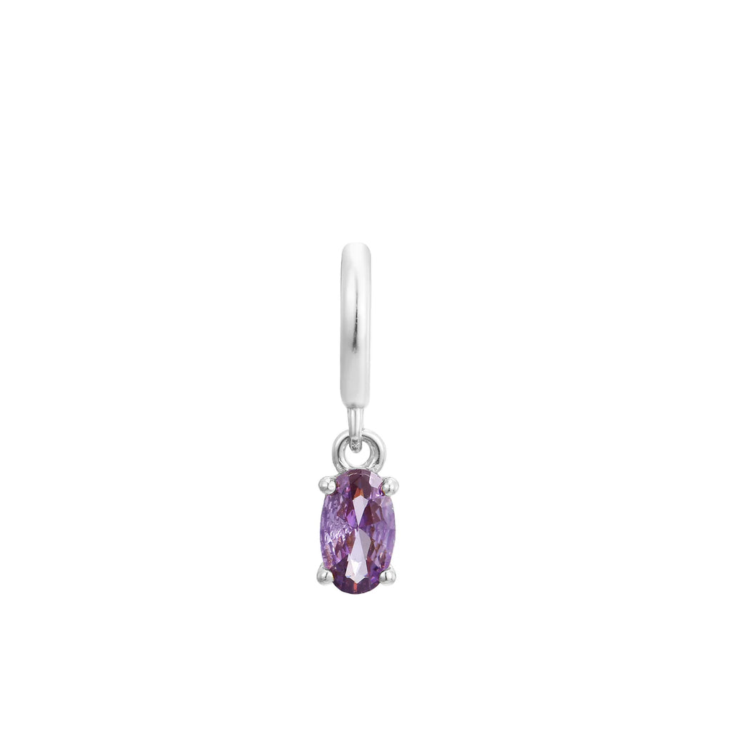 Gold Trip February Charm Silver