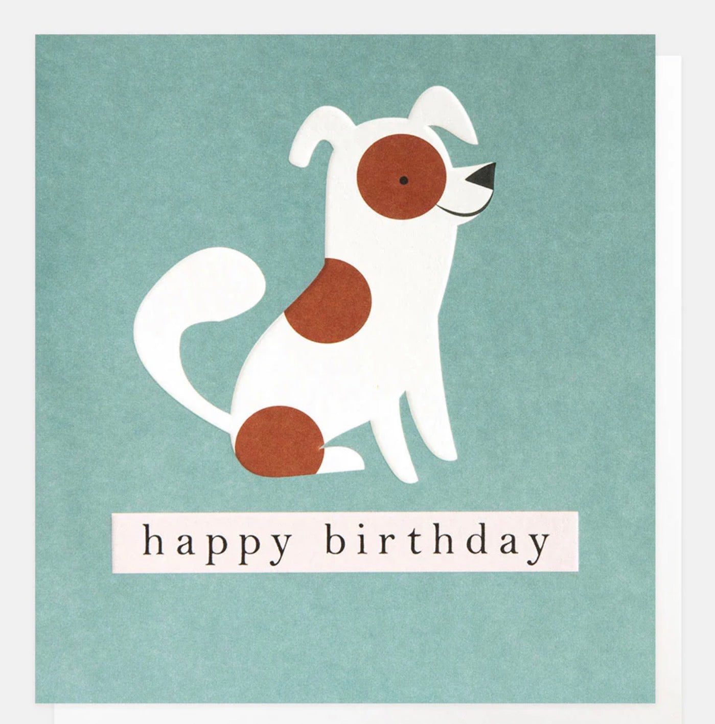 Caroline Gardner Spotty Dog On Teal Birthday Card