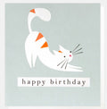 Caroline Gardner Stretching Cat On Blue Birthday Card