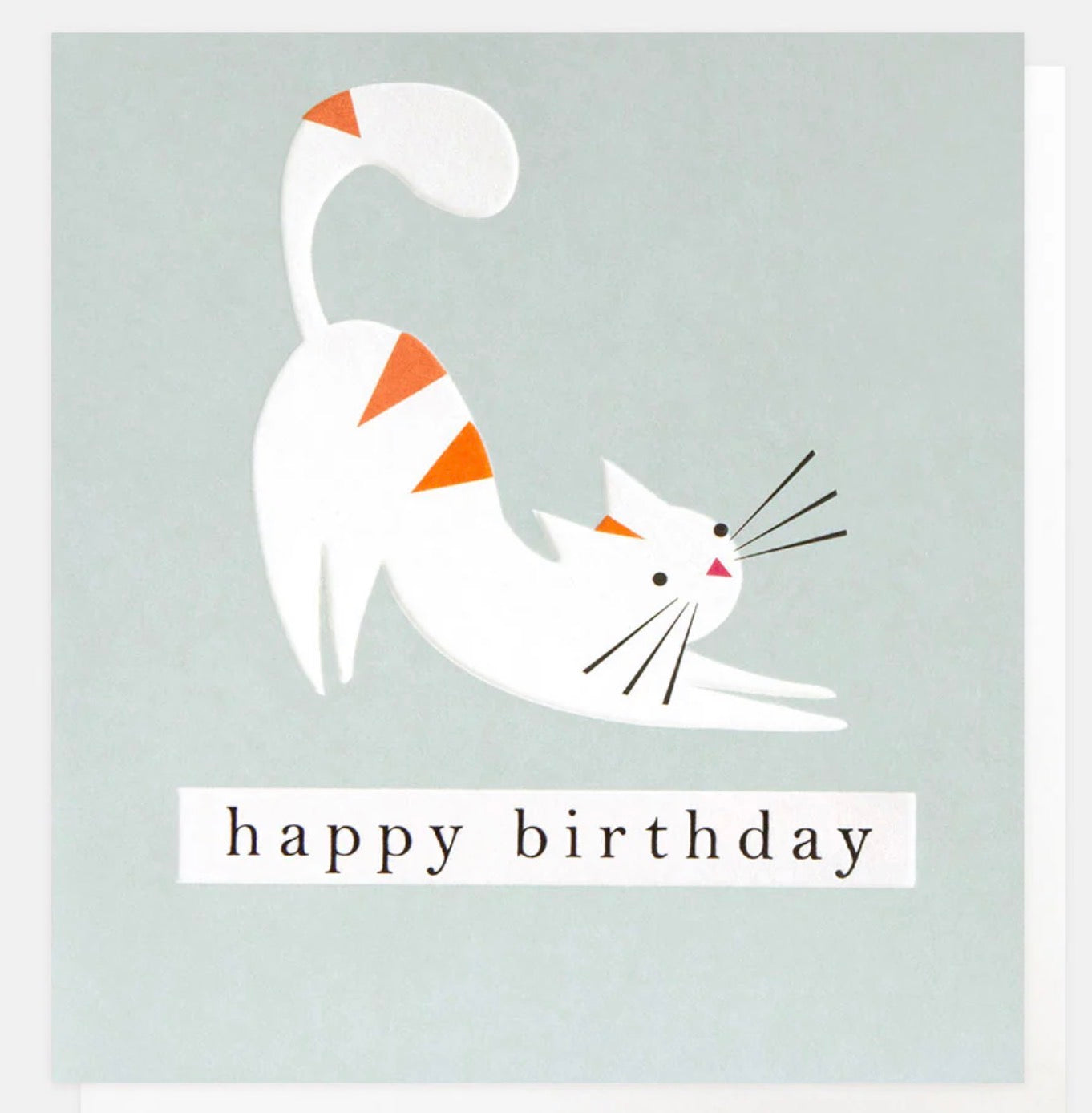 Caroline Gardner Stretching Cat On Blue Birthday Card