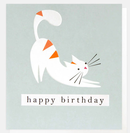Caroline Gardner Stretching Cat On Blue Birthday Card