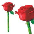 If Cardboard Creations Flower Bookmark Painted Rose