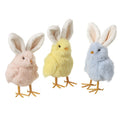Fluffy Chicks With Ears