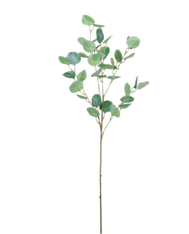 Lotus Natural Silver Dollar Eucalyptus Spray