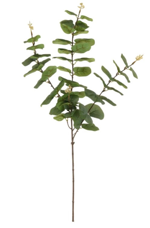 Printed Rounded Eucalyptus Spray