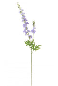 Slim Stock (delphinium) Lilac