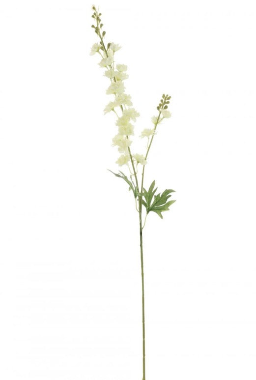 Slim Stock (delphinium) Cream