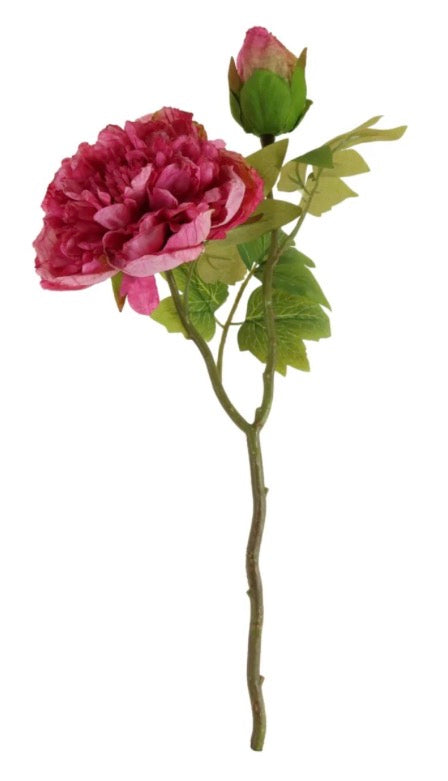 Dried Touch Open Peony Hot Pink