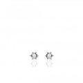 Gisser Rose Gold 4mm CZ Earrings