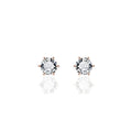 Gisser Rose Gold 5mm Earrings CZ