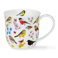 Dunoon Cumbrae Bird Garden Bullfinch Mug