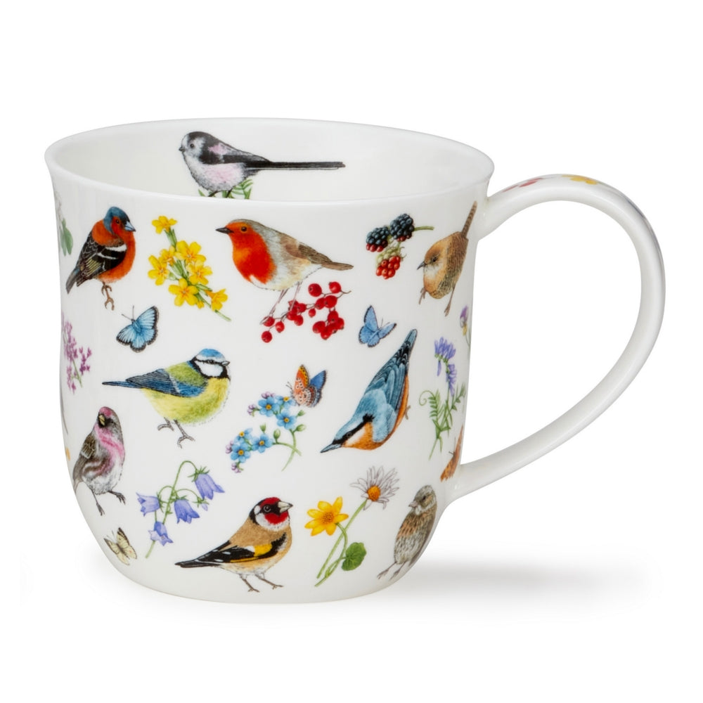Dunoon Cumbrae Bird Garden Robin Mug