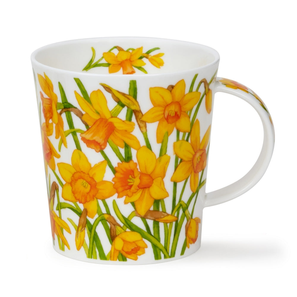 Dunoon Lomond Primavera Narcissus