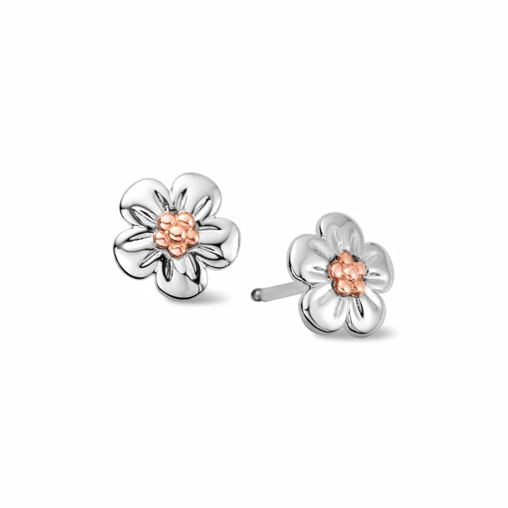 Clogau Nature's Wonder Sterling Silver Forget-Me-Not Stud Earrings
