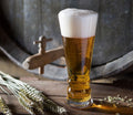 Dartington Crystal Brew Craft Pilsner Lager Glass