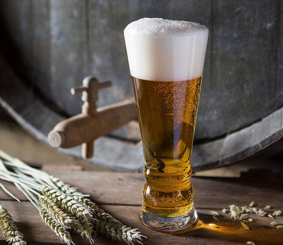 Dartington Crystal Brew Craft Pilsner Lager Glass