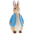 Beatrix Potter Peter Rabbit Money Bank