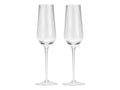 Style Sisters Set of 2 Clear Champagne Glasses
