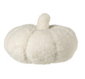 Large Fluffy Cream Pumpkin