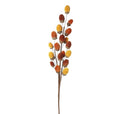 Acorns Spray