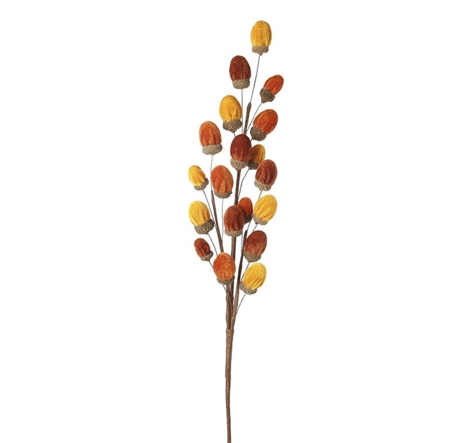 Acorns Spray