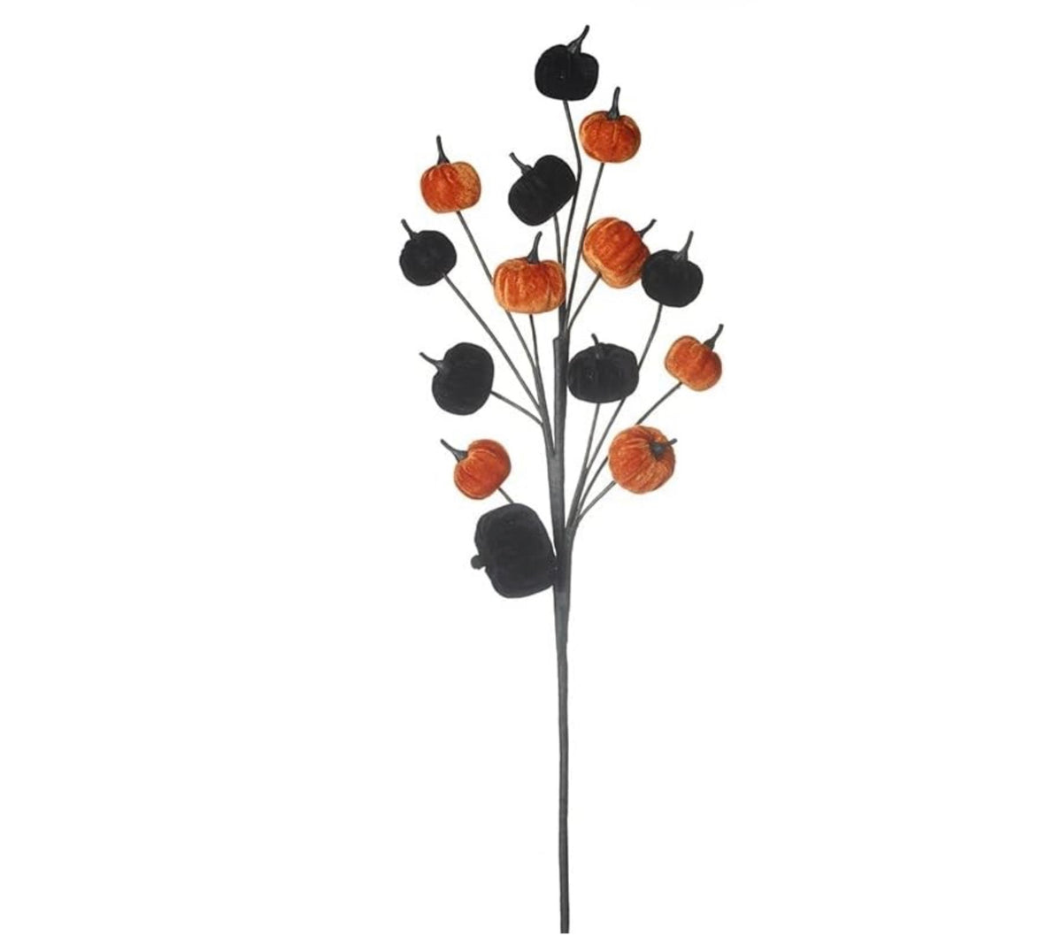 Velvet Pumpkin Branch