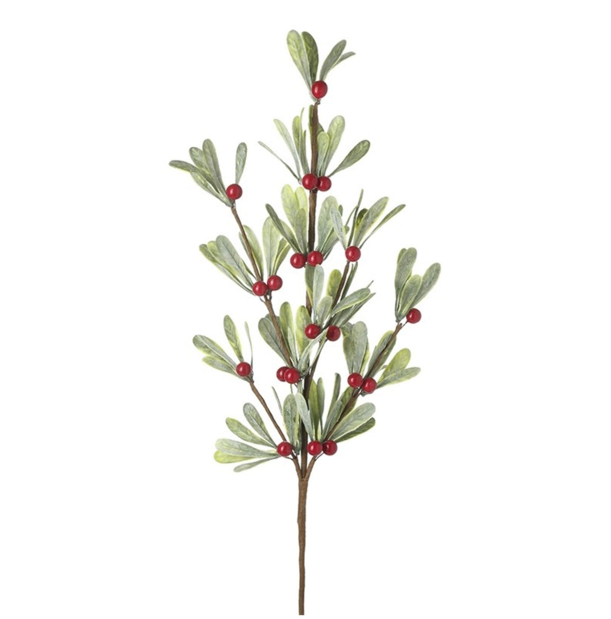 Green Leaf Spray With Red Berries